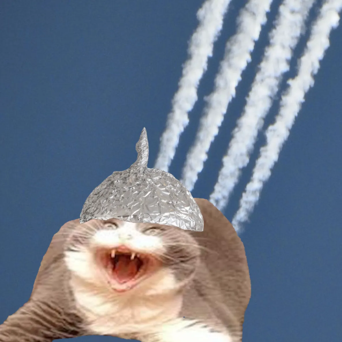 CHEMTRAILS GO WEEEEEEEEEEEEEEE